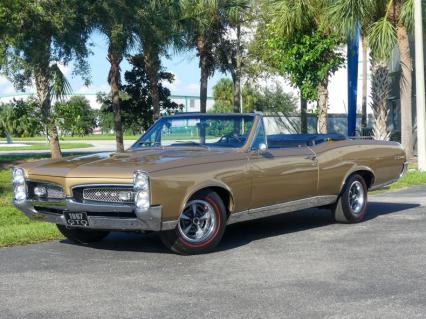 1967 Pontiac GTO