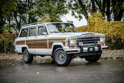 1990 Jeep Grand Wagoneer