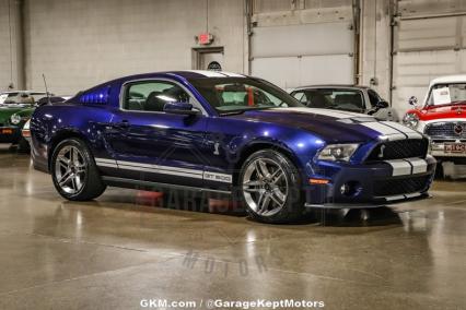 2010 Ford Shelby